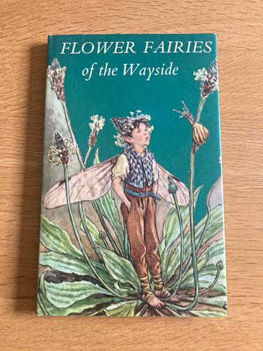 Flower fairies the wayside - fairies,