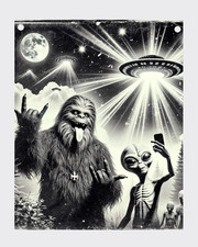 Funny Bigfoot and Alien Selfie