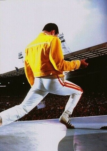 Freddie mercury unsigned x - freddie, 8"