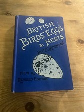 British Birds Eggs & Nests by