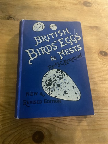 British birds eggs nests by - birds,