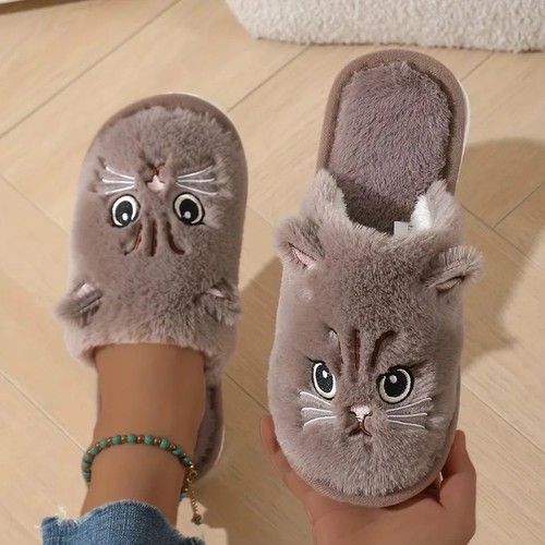 Cute cartoon cat - cartoon, slippers