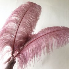 Sale Quality Ostrich Feathers