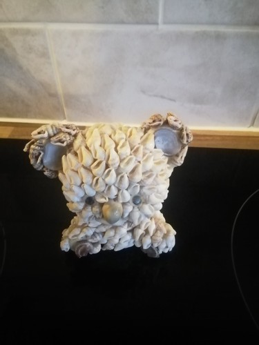 Vintage sea shell - sea, bear