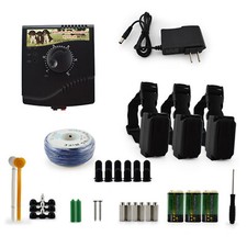 Electric Dog Fence Training