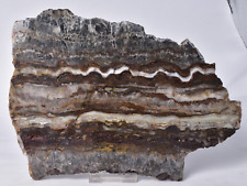 MICROBIAL MAT, Dresser Fmt