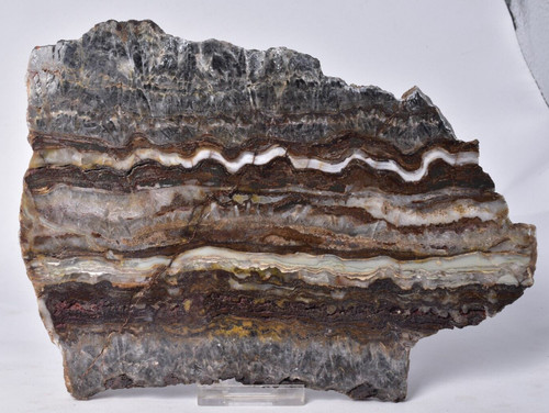 Microbial mat dresser fmt - mat,,