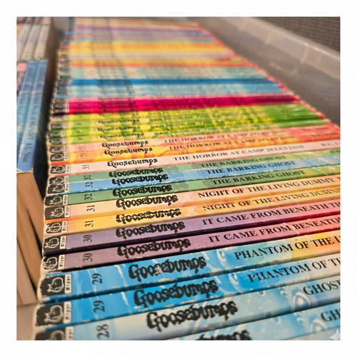 Goosebumps vintage 90s books - |,