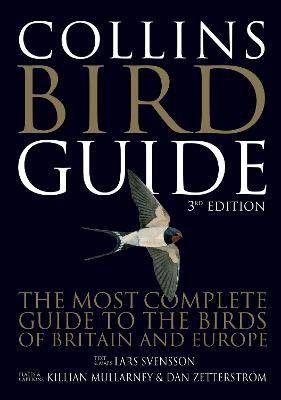 Collins bird guide lars - bird,