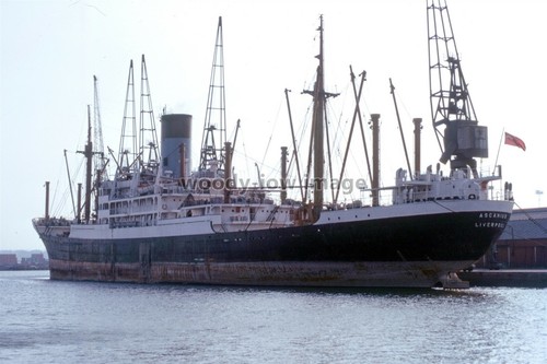 Sl0969 blue funnel cargo - sl0969,