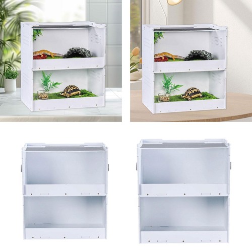 Reptile feeding box - reptile,