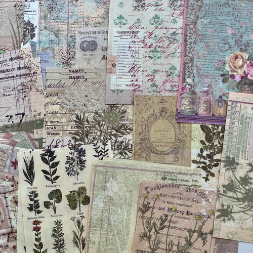 Vintage botanical element - vintage,