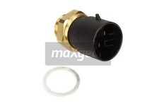 TEMPERATURE SWITCH RADIATOR