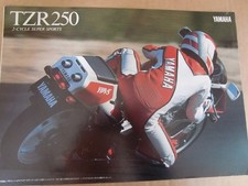 1989 Yamaha TZR250 3MA   (Rear