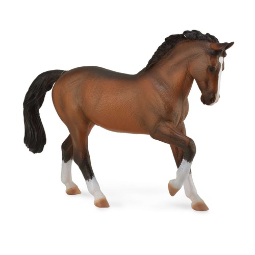 Collecta warm blood horses - collecta,