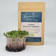 Organic Broccoli Calabrese Seeds, Microgreens & Sprouting, Non-GMO, High Yield