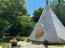tipi
