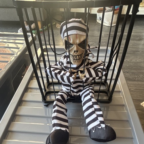 Halloween skeleton prisoner - skeleton,