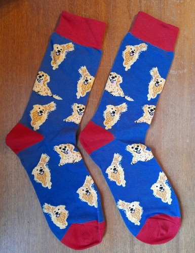 Novelty labrador socks - novelty, golden