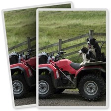 2 x Vinyl Stickers 7x10cm -