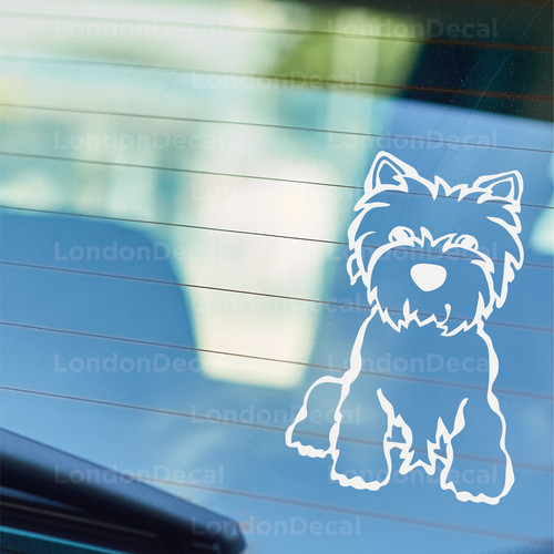 Westie west highland terrier - westie,