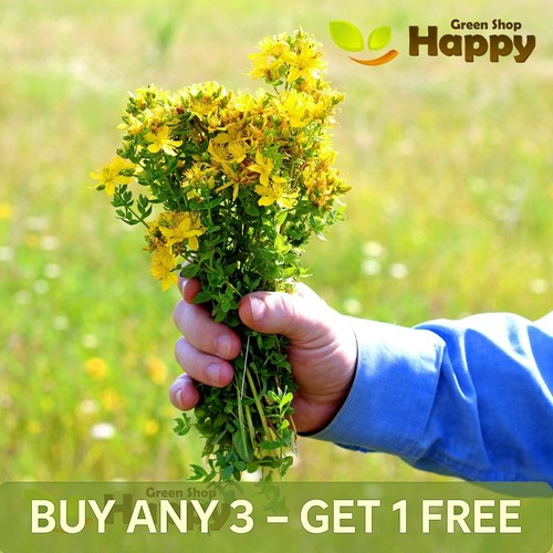 John wort 4800 seeds - st,