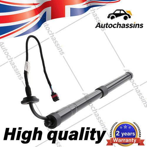 Left right electric tailgate - left,