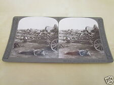WW1 STEREOVIEW - HALT OF AN