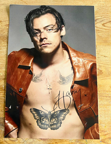Harry styles canvas art - canvas,
