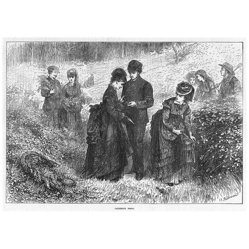 Victorian ladies and gentlemen - victorian,
