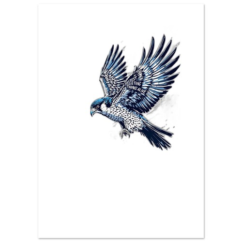 Peregrine falcon dive - falcon, |