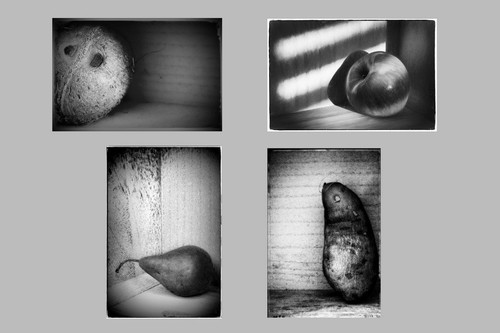 Fine art photography 10x10 - fine, photography,
