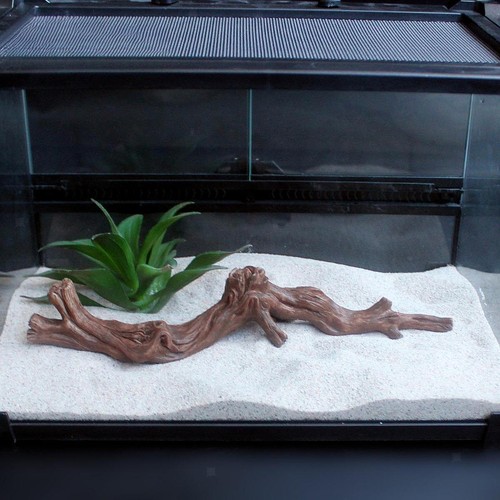 Reptile corner climbing branch - reptile,