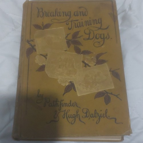 Hugh dalziel breaking and - hugh,