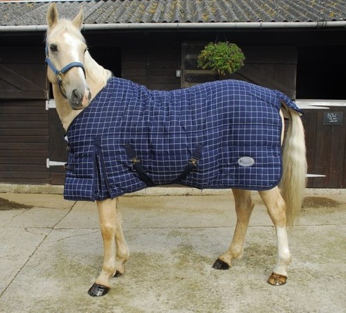 Rhinegold denver stable quilt - rhinegold,