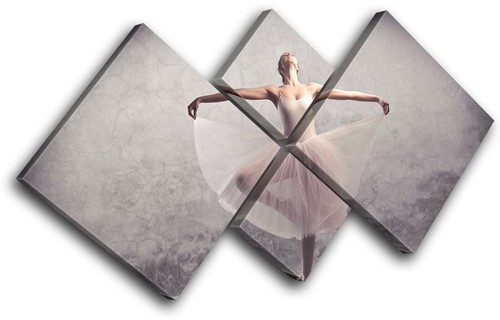 Ballerina dancer performing - ballerina,