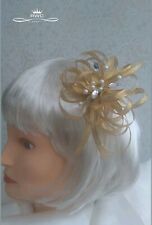 Gold s Fascinator/clear jewels