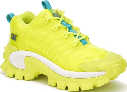 Caterpillar cat intruder - caterpillar,