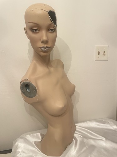 Vintage female mannequin - female, head