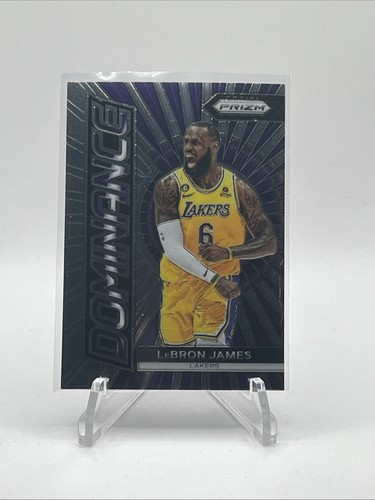 Panini prizm basketball - prizm,
