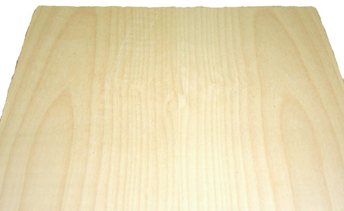 Birch wood veneer - sample, sheet