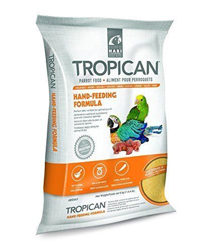 Hagen tropican hand - hagen, rearing