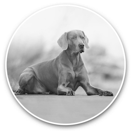 Vinyl stickers 10cm - 2,