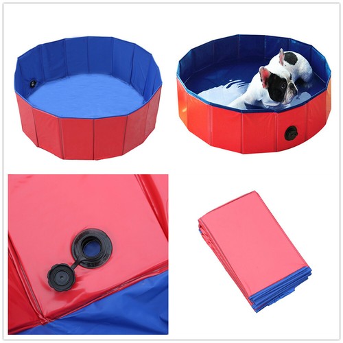 Mini pet dog swimming - pet,