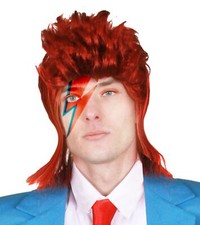 1970'S GLAM ROCK WIG MUSIC