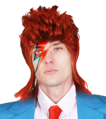 1970 glam rock wig - 1970's, music