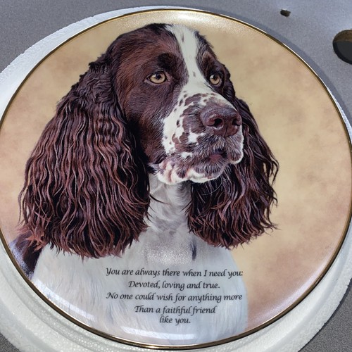 Danbury mint cherished - mint,