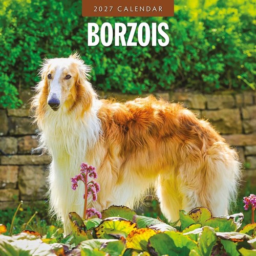 Borzoi calendar 2027 - borzoi, dog