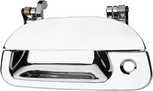 Tailgate door handle - door, chrome