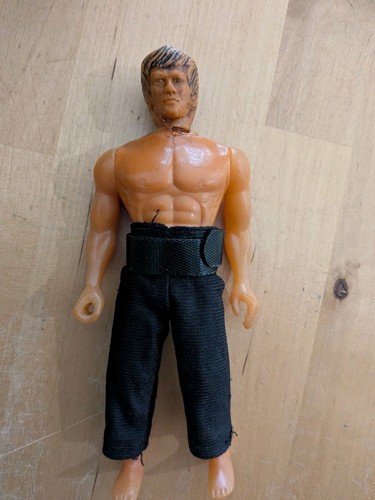 The legend bruce lee figure - legend, of